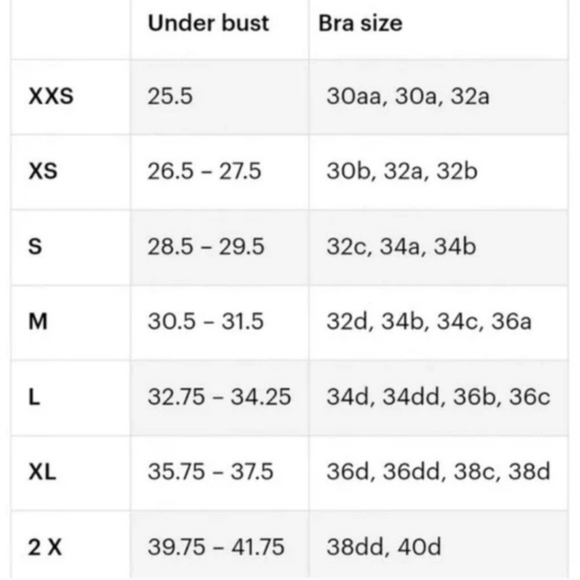 Everlane The Perform Bra in Pine•XS - Picture 8 of 13